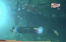 สาวตุรกีทำสถิติโลกดำน้ำไกล 100 เมตร