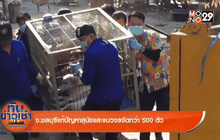 Good Morning Thailand 07-05-59