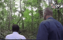 ยูกันดาตรวจสอบป่าต้นกำเนิดไวรัสซิก้า