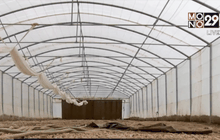 อุโมงค์เก็บเมล็ดพืชในเลบานอน