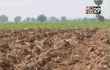 ผลกระทบจากภัยแล้ง