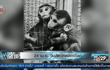 24 เม.ย. วันสัตว์ทดลองโลก