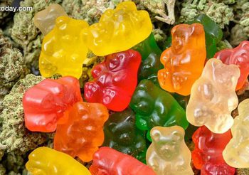 ป.ป.ส. ยันผิดกฎหมาย นำเข้าเยลลี่กัญชาเข้าประเทศ เสี่ยงคุก 5 ปี