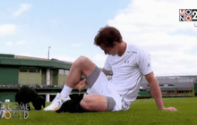 “เมอร์เรย์” ฝึกสุนัขตำรวจวิมเบิลดัน