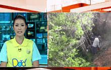 นักท่องเที่ยวขี่จักรยานยนต์ตกเหว เกาะสมุย