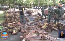 จับไม้พะยูงท่อนและแปรรูปเตรียมส่งออกนอกประเทศมูลค่า 40 ล้านบาท