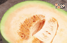 เกษตรยุคใหม่ปลูกเมลอนไร้ดิน รายได้หลักแสน