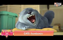 CATS ก๊วนเหมียวหง่าว