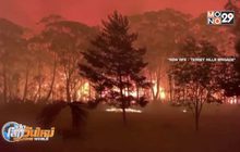 ไฟป่าออสเตรเลียรุนแรงขึ้น