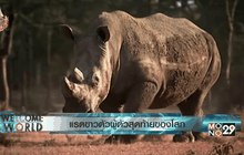 คุ้มกันแรดขาวตัวผู้ตัวสุดท้ายของโลก