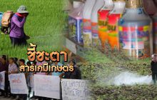 ชี้ชะตาสารเคมีเกษตร 22-10-62