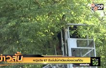 หญิงวัย 67 ปีนต้นไม้ทำเนียบร้องช่วยที่ดิน