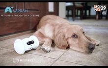 29 LifeSmart : หุ่นยนต์เพื่อนมนุษย์-สัตว์เลี้ยง