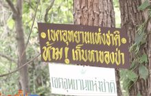 ชาวบ้านเก็บเห็ดบนเขาถูกจับอ้างมีบัตรอาสาฯ