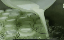 ธุรกิจโยเกิร์ตของผู้อพยพในอิตาลี