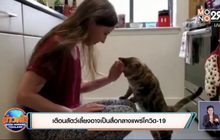 เตือนสัตว์เลี้ยงอาจเป็นสื่อกลางแพร่โควิด-19