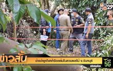 ช้างป่าถูกไฟฟ้าช็อตล้มในสวนผลไม้ จ.จันทบุรี