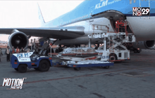 อียิปต์ส่งศพชาวเม็กซิโกกลับประเทศ