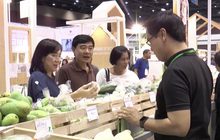 Organic & Natural Expo 2017