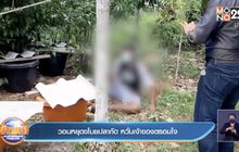 วอนหยุดขโมยปลากัด หวั่นเจ้าของตรอมใจ