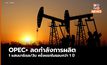 เตรียมรับมือ !OPEC+ ประกาศลดผลิตน้ำมันหวังดันราคาเพิ่มสูงขึ้น