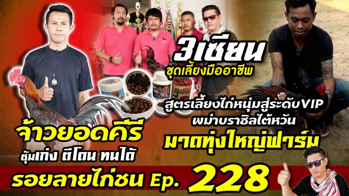 รอยลายไก่ชน เทป228 ออกอากาศวันพุธที่ 6 มี.ค. 62 ทูวิชั่น367