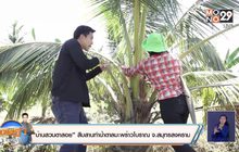 “บ้านสวนตาสอย” สืบสานทำน้ำตาลมะพร้าวโบราณ จ.สมุทรสงคราม