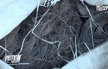 จับแก๊งขโมยตัดสายเคเบิลทำเน็ตล่มทั้งเกาะสมุย