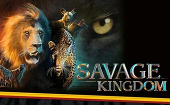Savage Kingdom อาณาจักรนักล่า