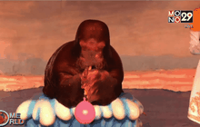 เทศกาลหิมะซัปโปโร ครั้งที่ 67