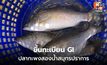 สมุทรปราการเฮ ขึ้นทะเบียน GI ปลากะพงสองน้ำ