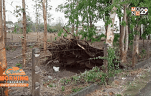 พายุฤดูร้อนถล่ม จ.เลย เสียหายกว่า 100 หลังคาเรือน