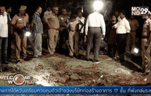 อุกกาบาตตกทับคนขับรถดับในอินเดีย