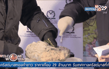 พบซากลูกสิงโตโบราณในรัสเซีย