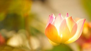 พรหมจรรย์ในศาสนา