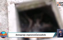 ลิงตายยกฝูง เหตุตกแทงก์น้ำช่วงแล้งจัด