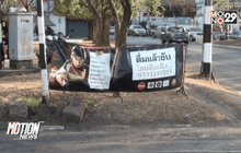 สถิติอุบัติเหตุ 4 วัน เสียชีวิต 253 ราย