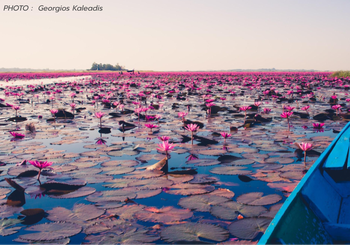 พยากรณ์อากาศ 15 ธ.ค.