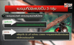 พบแมงมุมพิษร้ายแรง…ครั้งแรกในไทย