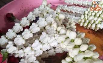 ราคาดอกมะลิ ขึ้นต่อเนื่อง บางพื้นที่ กก.ละ 1,700 บ. เหตุฝนตกหนัก โรคระบาด ผลผลิตออกน้อย