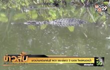 ชาวบ้านกบินทร์บุรี ผวา จระเข้ยาว 3 เมตร โผล่หนองน้ำ