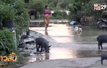 ชุมชนริมแม่น้ำตรังเผชิญน้ำท่วม