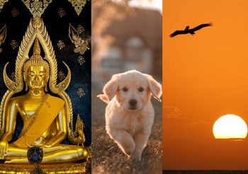 เคล็ดลับเสริมดวง วันศุกร์ ที่ 4 สิงหาคม 2566