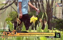 ตำรวจได้เบาะแสผู้ก่อเหตุวางยาน้ำดื่มในสวนสาธารณะ