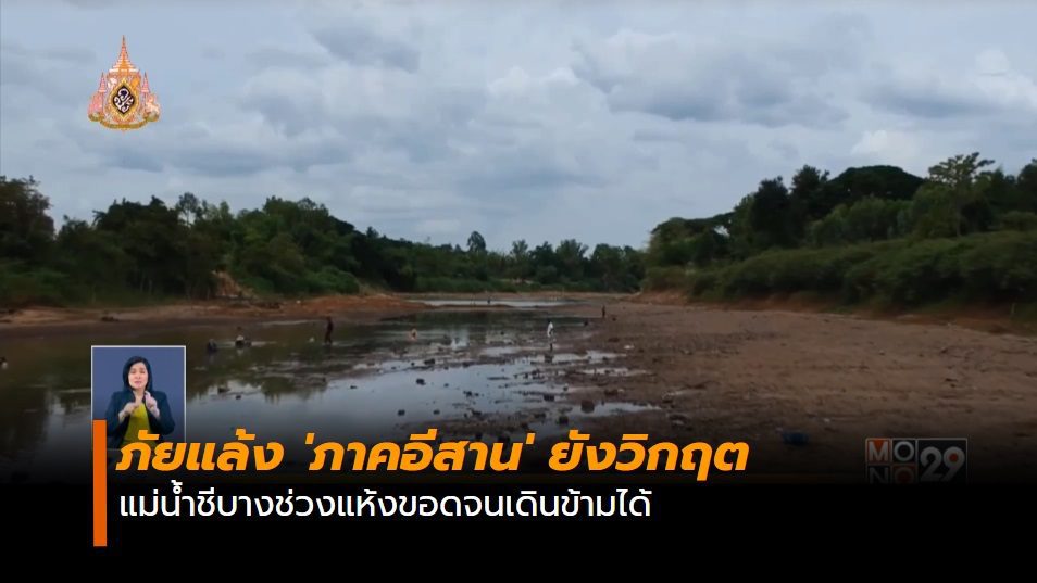 สถานการณ์ภัยแล้ง ‘ภาคอีสาน’ ยังวิกฤต แม่น้ำชีบางช่วงแห้งขอดจนเดินข้ามได้