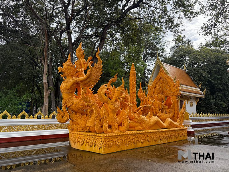 ต้นเทียนพรรษา