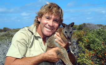 Wild Moment – Wildlife Warriors 