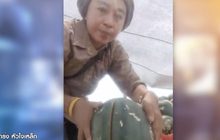 พิษโควิด แตงโมขายไม่ได้ เจ้าของสวนไลฟ์สดขายเองหมดเกลี้ยง 100 ไร่