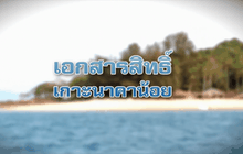 The Day News Update 08-04-59