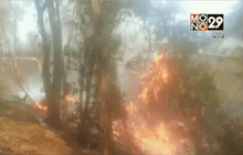 ไฟไหม้สวนทุเรียนชื่อดังเมืองอุตรดิตถ์